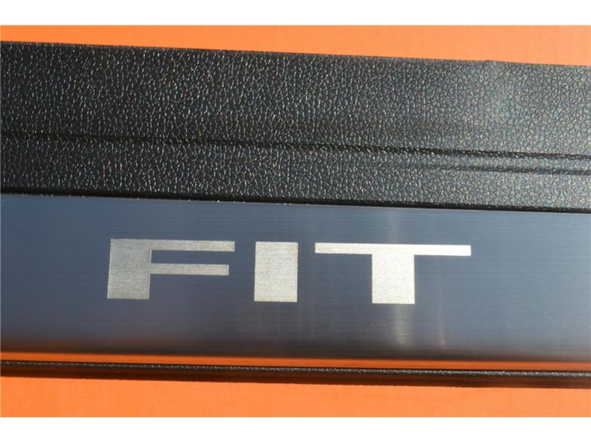 Stainless Steel Welcome Pedal Door Sill Strips for 14-18 Fei Models