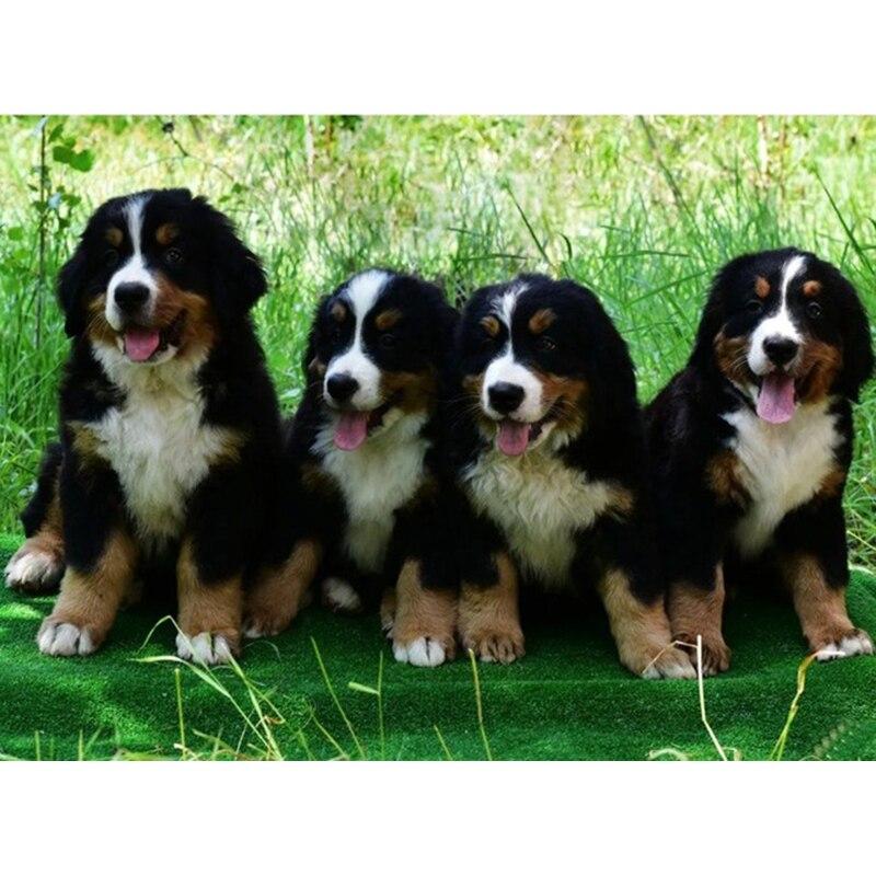 DIY 5D Diamond Painting Animal Full Square/Round Diamond Embroidery Picture Rhinestones Mosaic Dog Cross Stitch Home Decor Gift