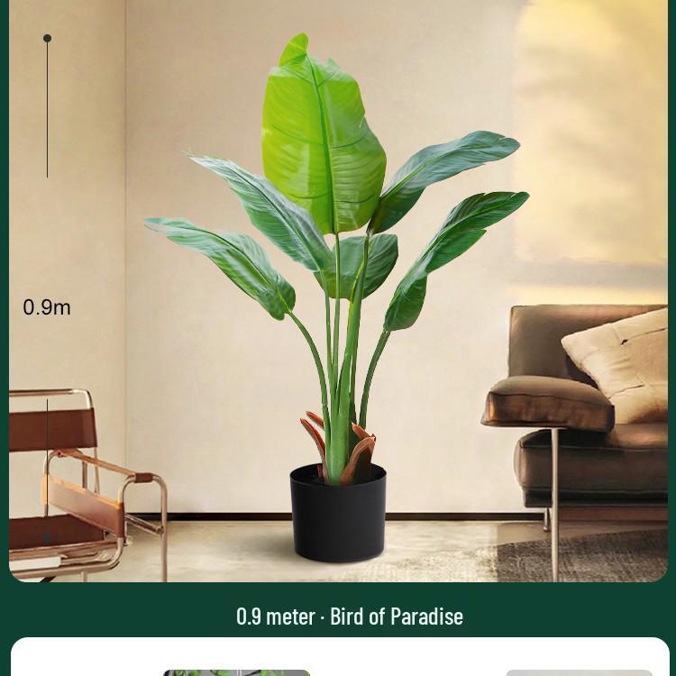 High-End Indoor Bird of Paradise Decor: Luxury Potted Traveler's Palm
