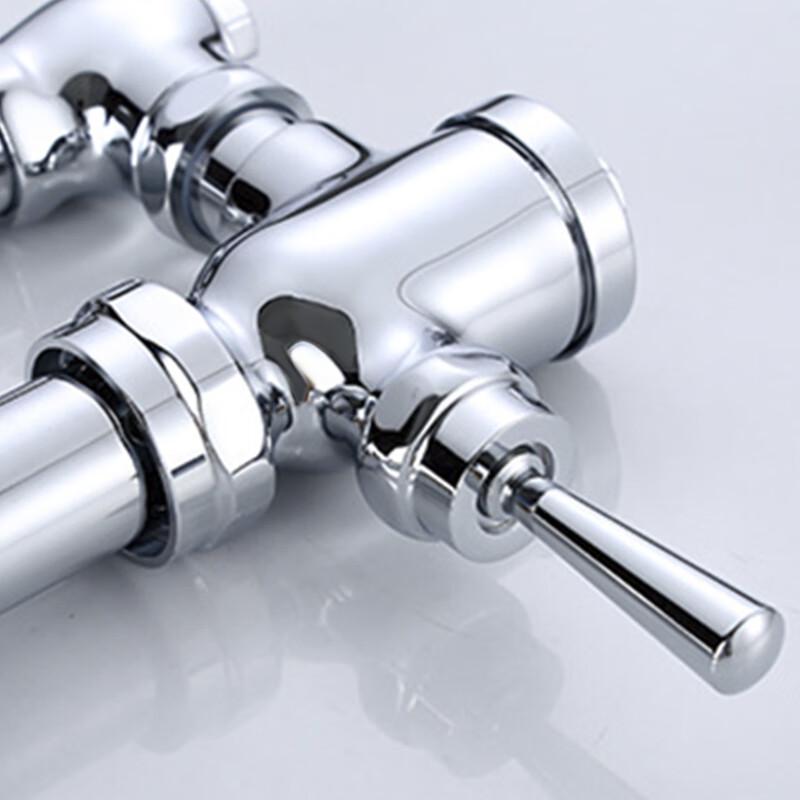 Longdai Horizontal Flush Valve