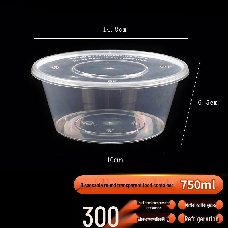 Edo Disposable Transparent Takeaway Food Containers