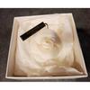 Used 【】 Chanel Camellia Corsage White 04P With Box and Tag