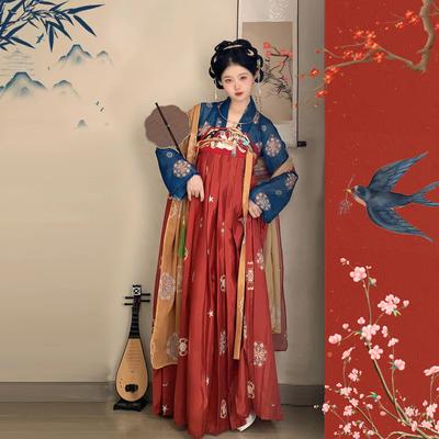 Abito da donna Hanfu in stile cinese della dinastia Tang