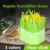 Pet Reptile Tortoise Lizard Terrarium Box Humidifier Without Electricity Moisturizing Green Plant Gasification Humidification