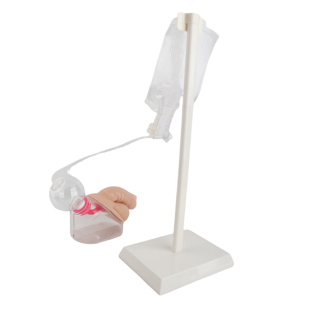 Male Urethral Catheterization Simulator Fluid Circulation System Urinary Catheterization Model for