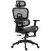 Multi-Adjustable Mesh Office Chair - Black