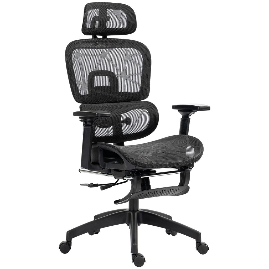 Multi-Adjustable Mesh Office Chair - Black