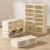 Portable Folding Shoe Rack Shoe Organizer Storage Box With MaClear Door For Closet Entryway Storage Containers Binsgnetic