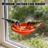 Bird Feeder Window Suction Cup Holder Makes For Housewarming Or Birthday Present For Your Family And Friends