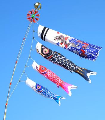 Karpfenbanner goldener aufsteigender Drachenbanner Karpfenbanner komplettes Set Kommt mit Ständer und Installationsmaterial zur einfachen Aufstellung überall Geschenk Geschenk Präsent