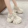 Korean Version of Internet Celebrity Dad Shoes Women's Height Increase Platform Versatile 2025 Autumn New Small Casual Sports Shoes Tide