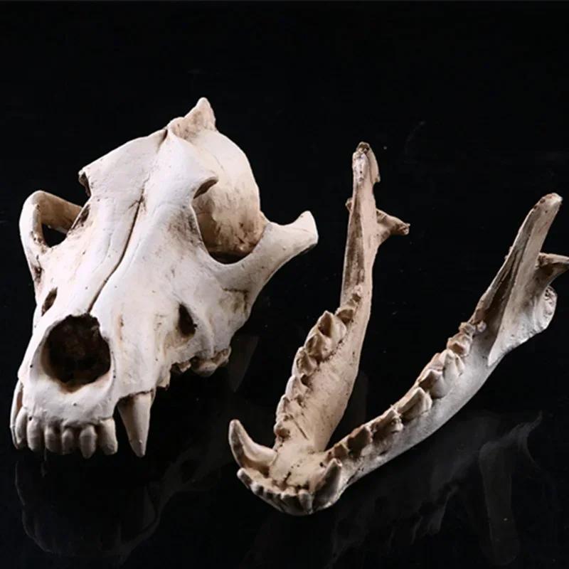 Resin Craft Halloween Decoration Lifelike Wolf Skull Statues Creative Home Decoration Skull Statue Sculpture Art Sketch Model