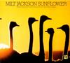 Album musicali
