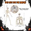 Halloween Skeleton Decoration 5 Pack - 16 Inch Plastic Human Skeleton with Movable Joints, Standing for Party Decor