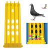 Soporte de Anillo de Pata de Loro Paloma Artículos de Entrenamiento para Aves Soporte de Anillo de Pata Banda Estante