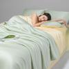 A-Class Dual Color Cool Ice Silk Summer Quilt, Washable Summer Single Double Bed Quilt Set for Student Dormitory