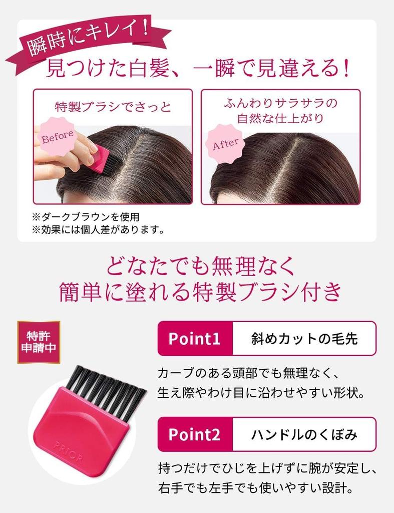 Prior Hair Foundation Brown Foundation for gray hair pieces [2 pieces] 3.6gx2 (4901872063376-2)