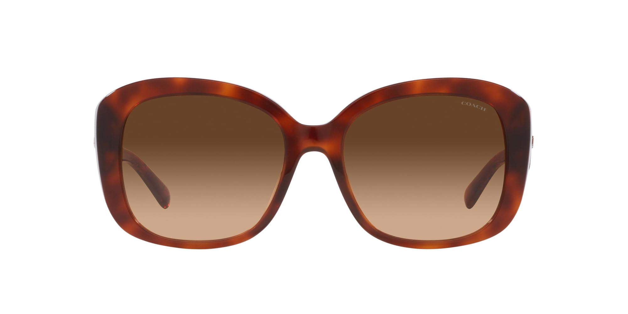 

Sunglasses HC8363U CH564 CARAMEL TORTOISE GRADIENT Lens 56 [Coach] Frame/BROWN