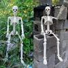 40cm Posable Halloween Human Shape Skeleton Skeleton Human Shape Bones Halloween Herror Decorations Haunted House Horror Props