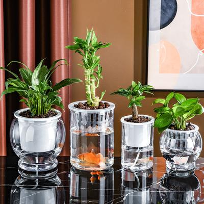 Malá hydroponická váza pro Phalaenopsis a sukulenty - Stolní dekorace
