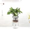 Jar Strainer Lid For Plant Sprouting Wide Mouth Sprout Cover Bean Seedling Cover With Drainage Net Garden Plant  Glowing