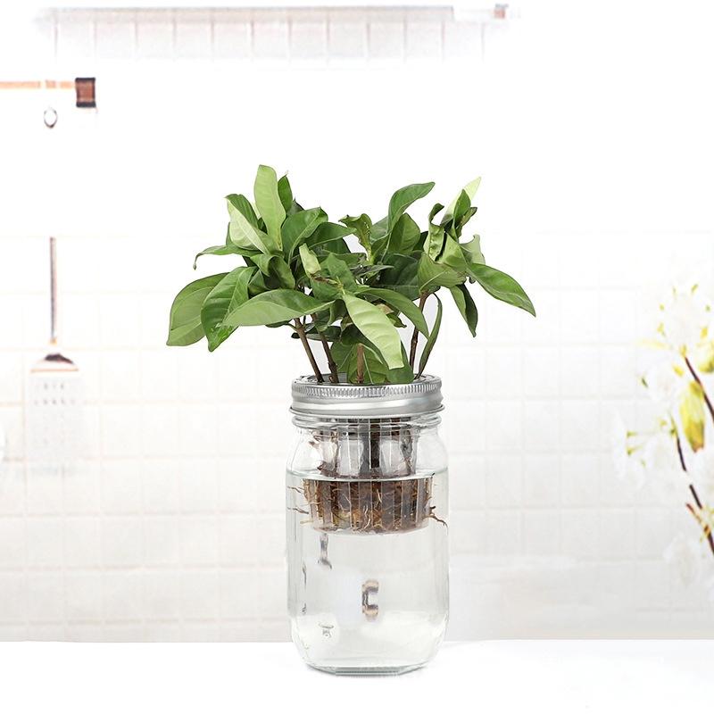 Jar Strainer Lid For Plant Sprouting Wide Mouth Sprout Cover Bean Seedling Cover With Drainage Net Garden Plant Glowing