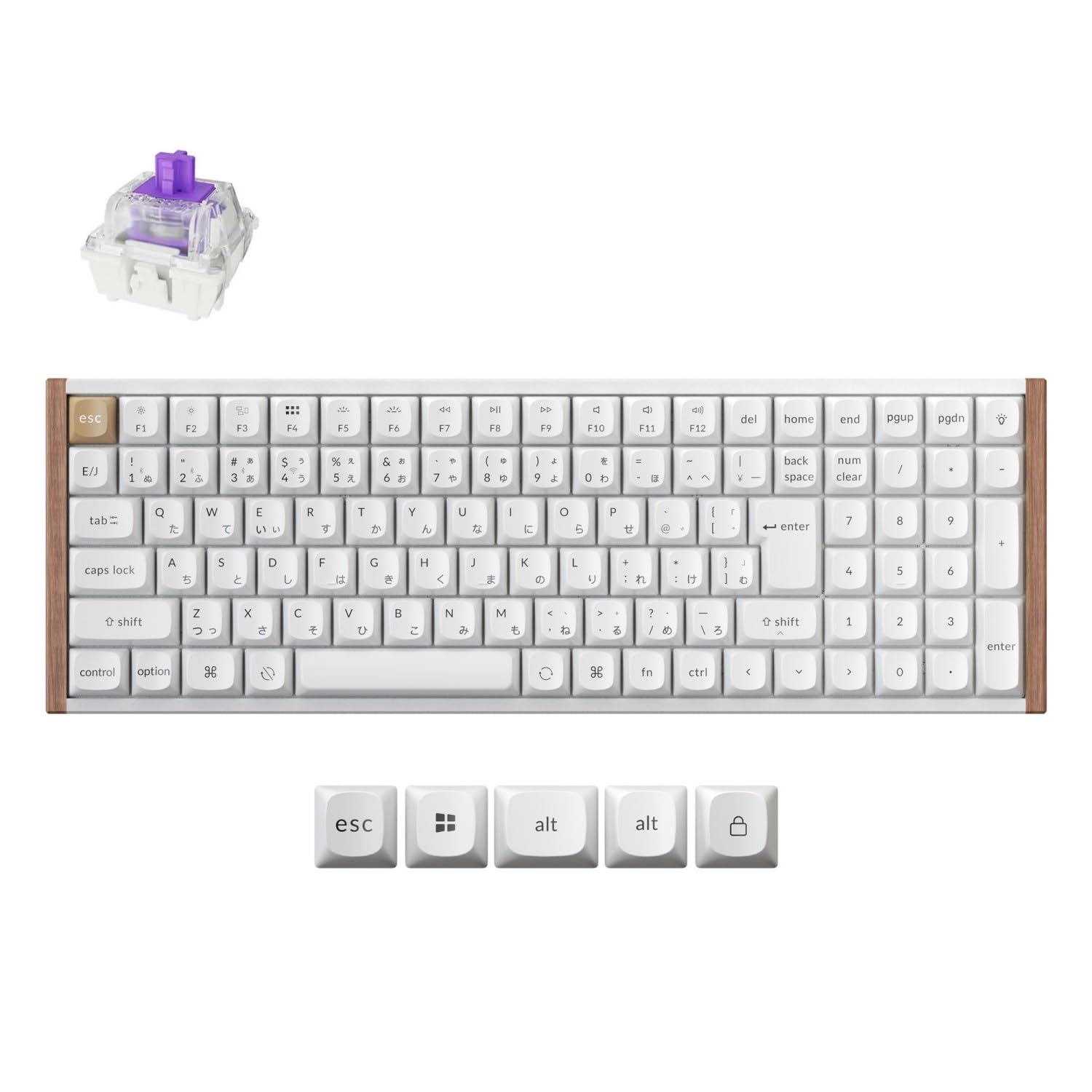 

Keychron K4 HE QMK Wireless Gaming Custom Mechanical JIS Key RGB Gateron Magnetic Mac Windows Aluminum Wood White Keyboard, Layout,