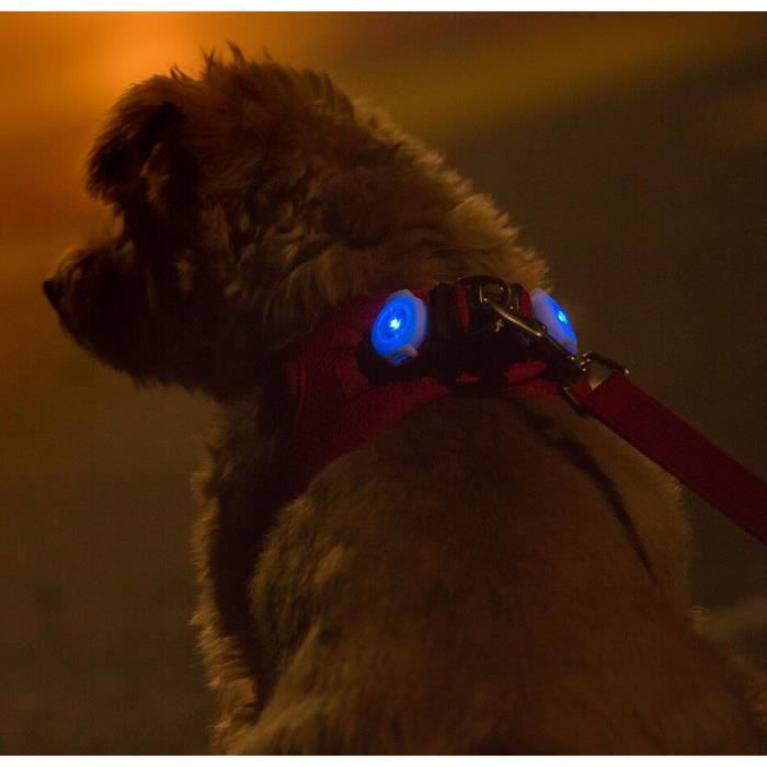 Lampe pour chien - Curli - Luumi - LED lumineuses - Étanche - 10 grammes