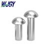 Rivetto in Alluminio WJGY HD a Testa Tonda