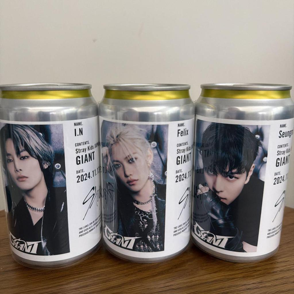 [USED] Stray Kids Original Label Can