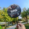Custom Star Transparent Fan: Anime, Wedding, Anniversary & Promotional Film/TV Themed Design