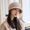 Autumn and Winter Women's Wool Thermal Hat Fashionable Velvet Thickened Large Head Circumference Wool Knitted Hat