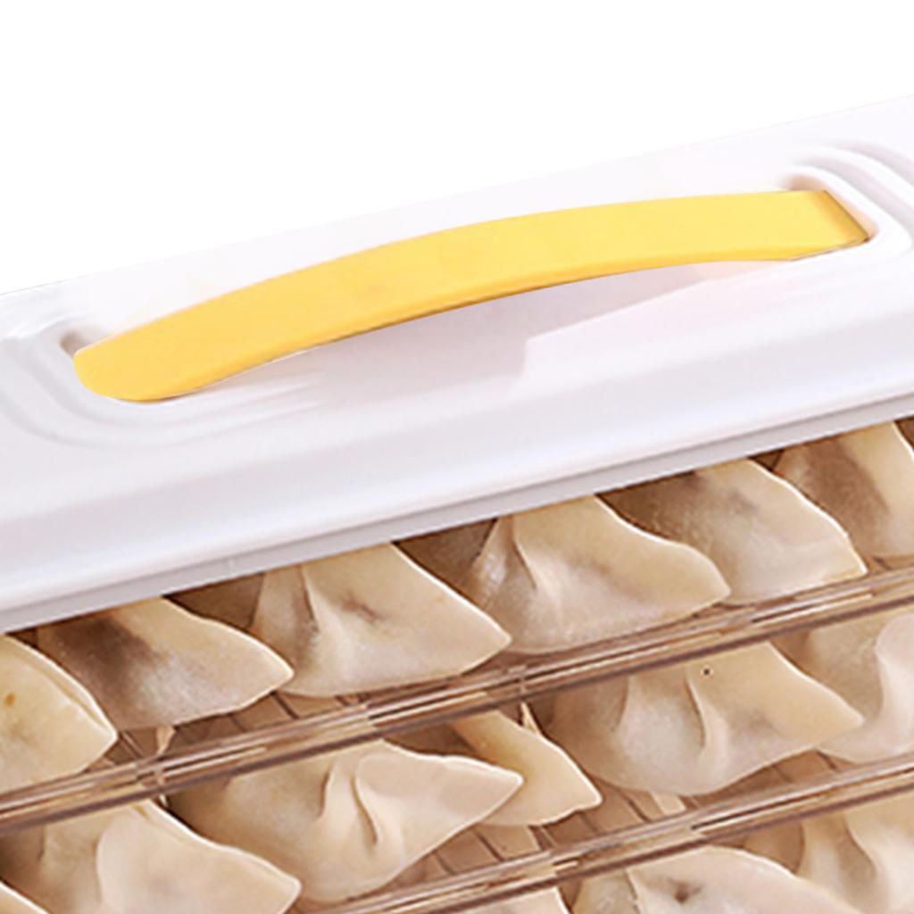 Dumpling Storage Container Food Grade Plastic Refrigerator Dumpling Storage Box for Home