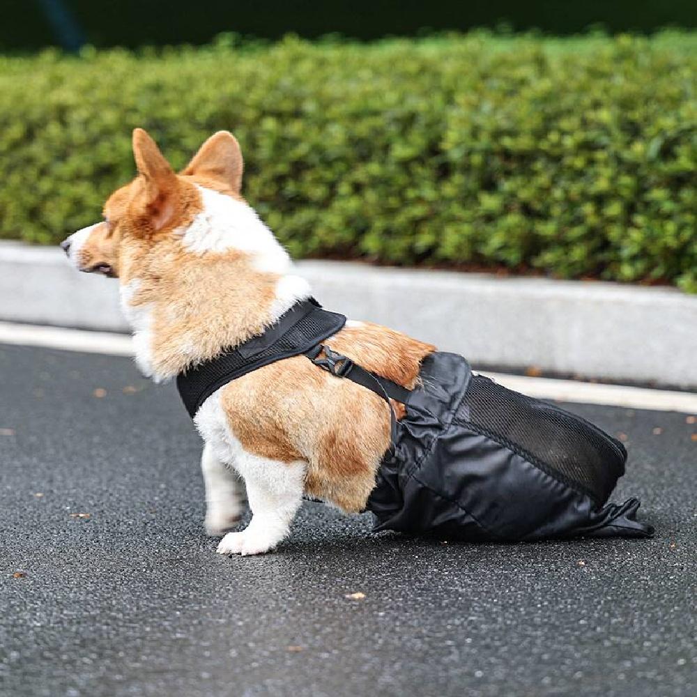 Pet Dog Hind Leg Injury Aids, Medium And Large Dog Hind Leg Disability Towing Bag