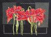 Cross Stitch Kit Abris Art Plants On a Black Background