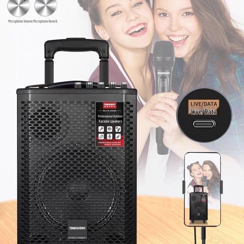 Temi Sheng A1-08 Portable PA Trolley Speaker