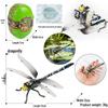 4D Insect Model Toy Set: Ladybug, Stag Beetle, Centipede, Ant, Fly, Mantis