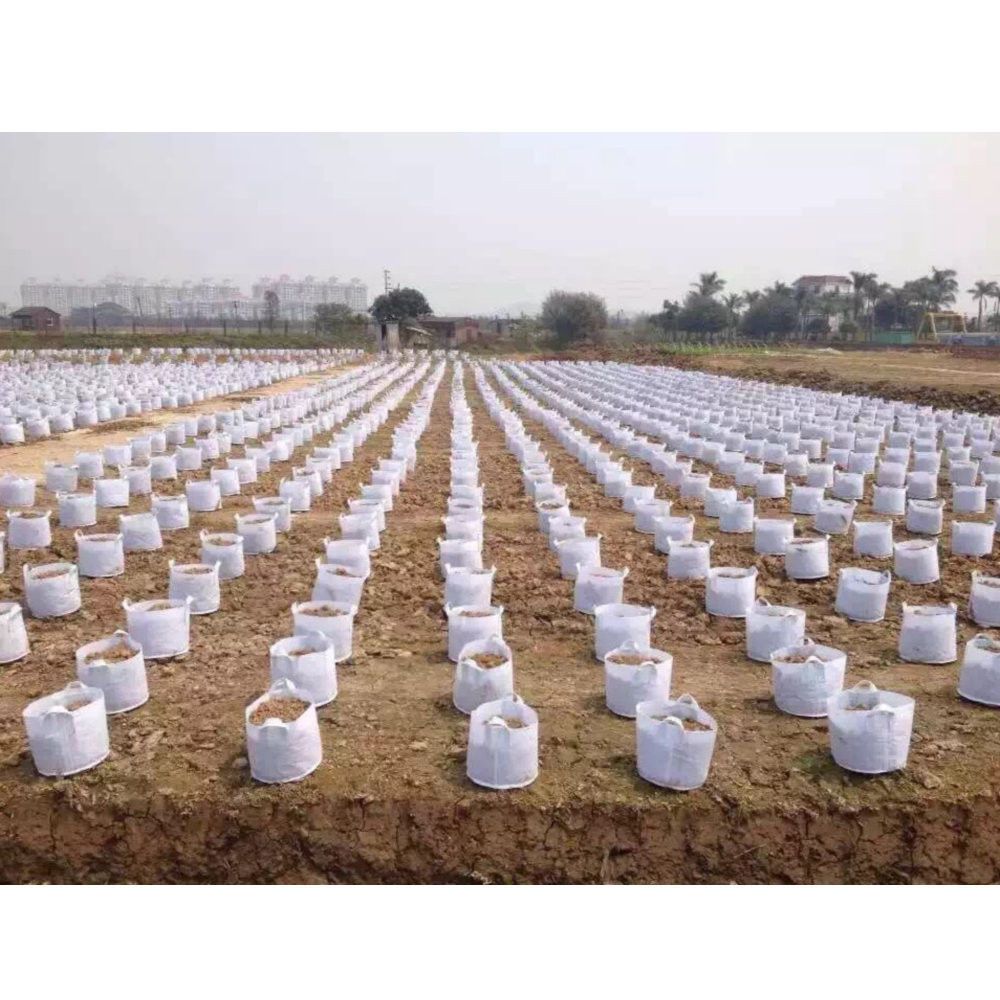 Aeration Container Planters Supplies Round Fabric Pots Plant Pouch Root Container Grow Bag