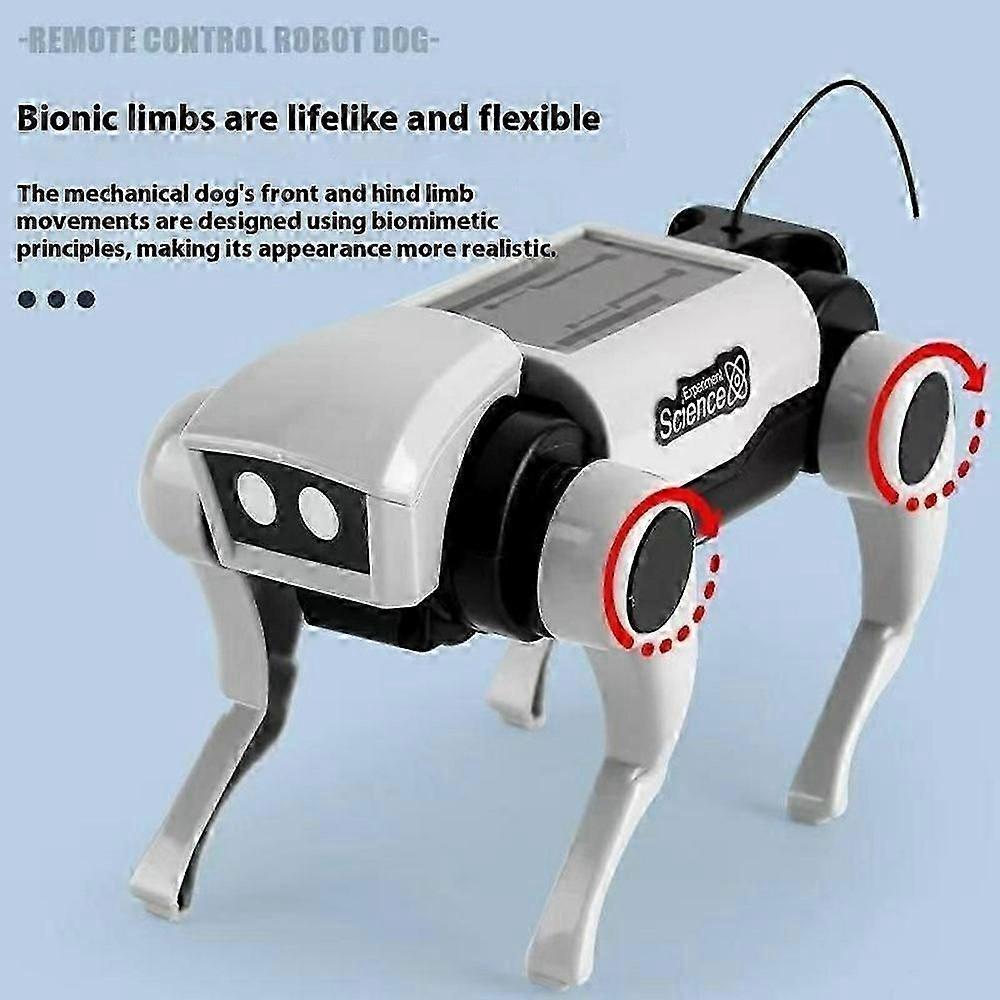Kit Fai da Te Robot Cane e Gatto Meccanico Giocattolo da Passeggio con Telecomando Set di Assemblaggio Educativo STEM con Telecomando
