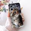For Honor X8d 4G Case Cute Cat Luxury Flowers Painted Cover Soft Slim Phone Case For Honor X8d X 8d HonorX8d 4G Back Cover Coque