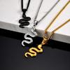 Colar Pingente de Cobra em Aço Inoxidável Personalizado para Mulheres, Pingente de Animal Cor Preto/Prata/Dourado, Joia Punk da Moda