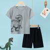 2-Piece Children's Summer Quick Drying Sports Suit for Boys and Girls, Handsome Dinosaur Print Short-Sleeved Top