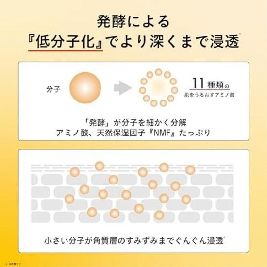 Hakkou Panda Fermented Oil-In High Concentration Beauty Serum 30mL Contains 71 Rice Liquid Sensitive Skin Dry Moisturizing Pores Made Japan