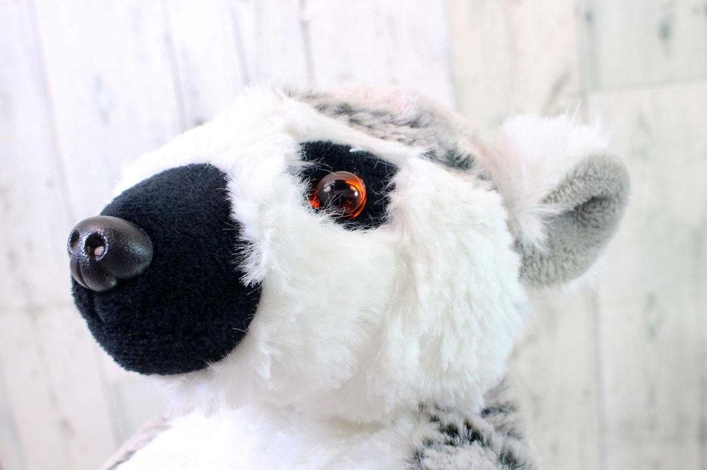 Take Off Ring-Tailed Lemur M