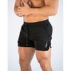 High Quality New Spring Summer Men Fashion Fitness Training Outdoor Running Shorts Men's Mesh Beach Sports Shorts