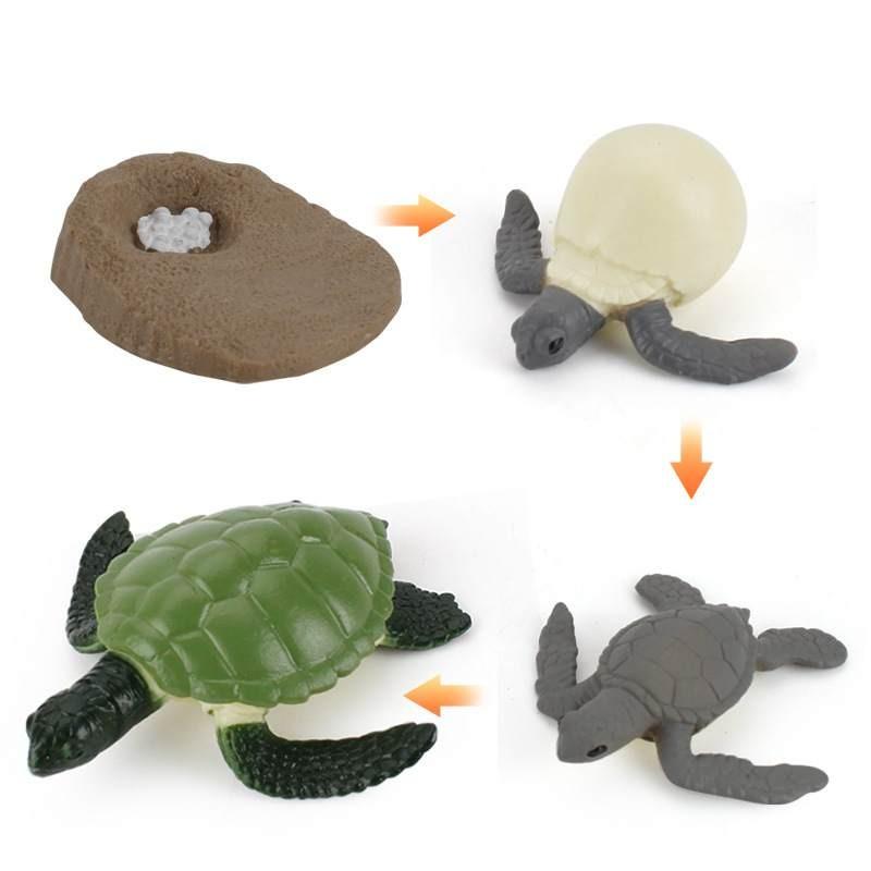 Animal Model Set Pvc Collectible Insect Bird Reptile Amphibian For Education And Display