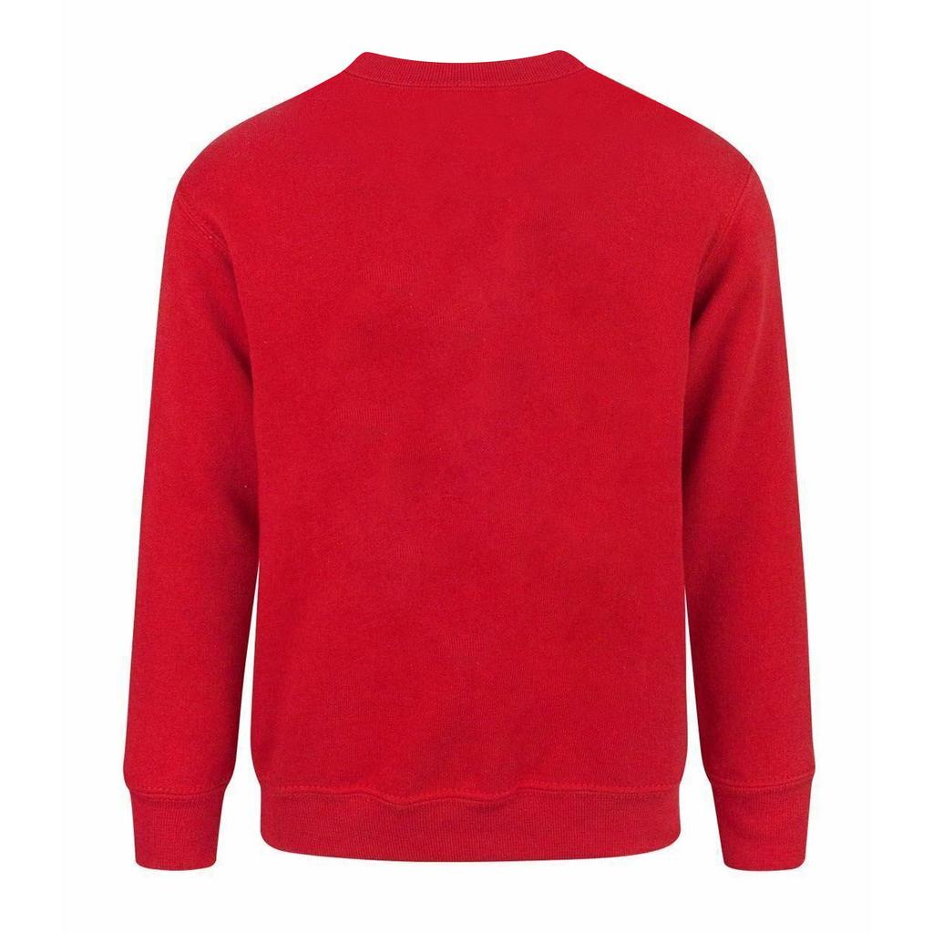 Minecraft Childrens/Boys Official Like A Boss Sweatshirt