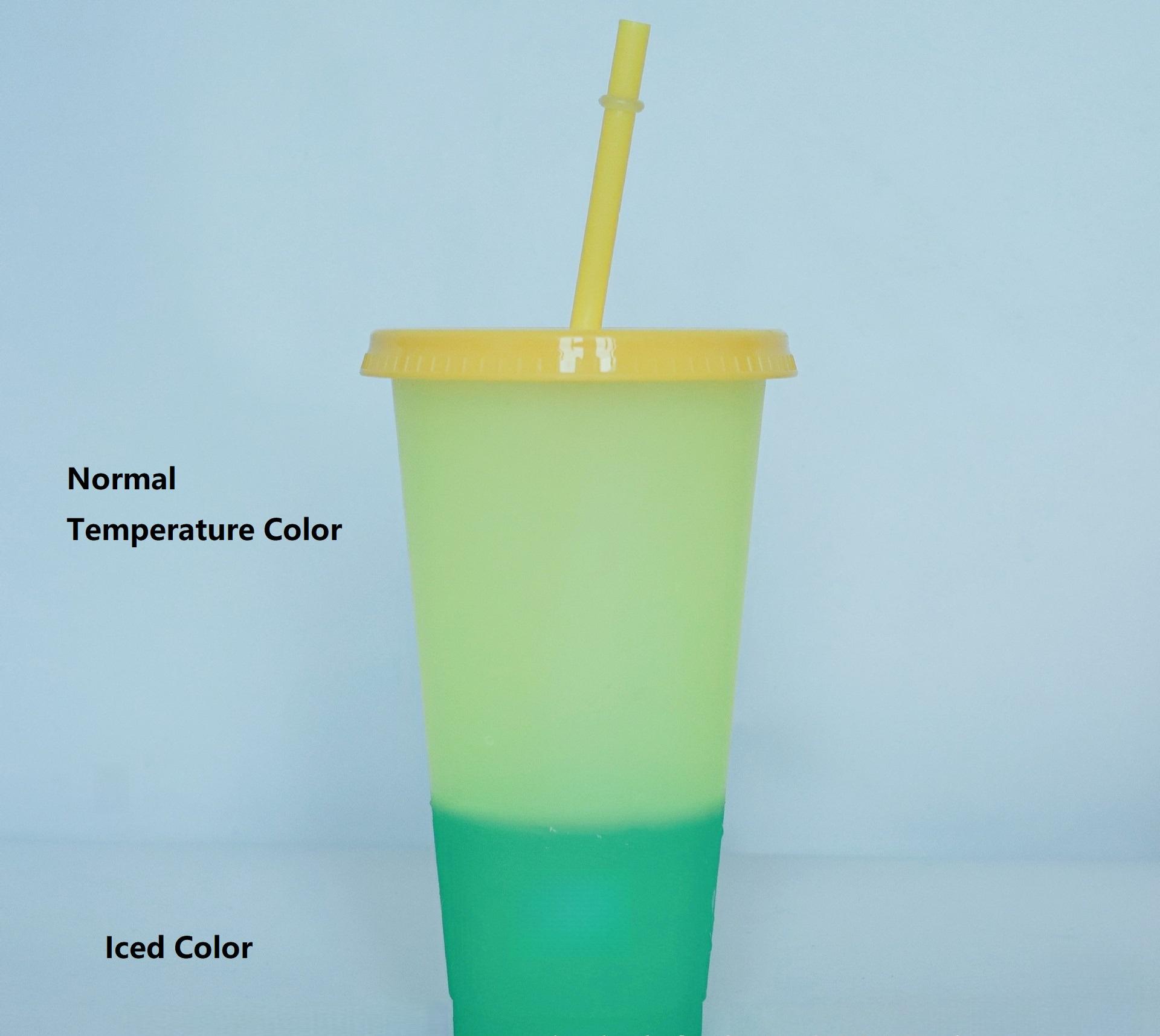 

5PCS Plastic Cute Cold Cups with Lids and Straws for Iced Coffee 24 oz Color Changing Reusable for Adults Kid Women Party