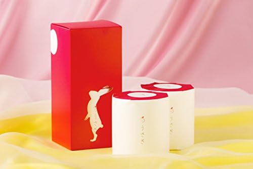 Pudełko na prezent w kształcie królika, papier toaletowy, nagroda za prezent dla rodziny, pamiątka, bez papierowej torby, 2 rolki (bez torby) Wysoka jakość