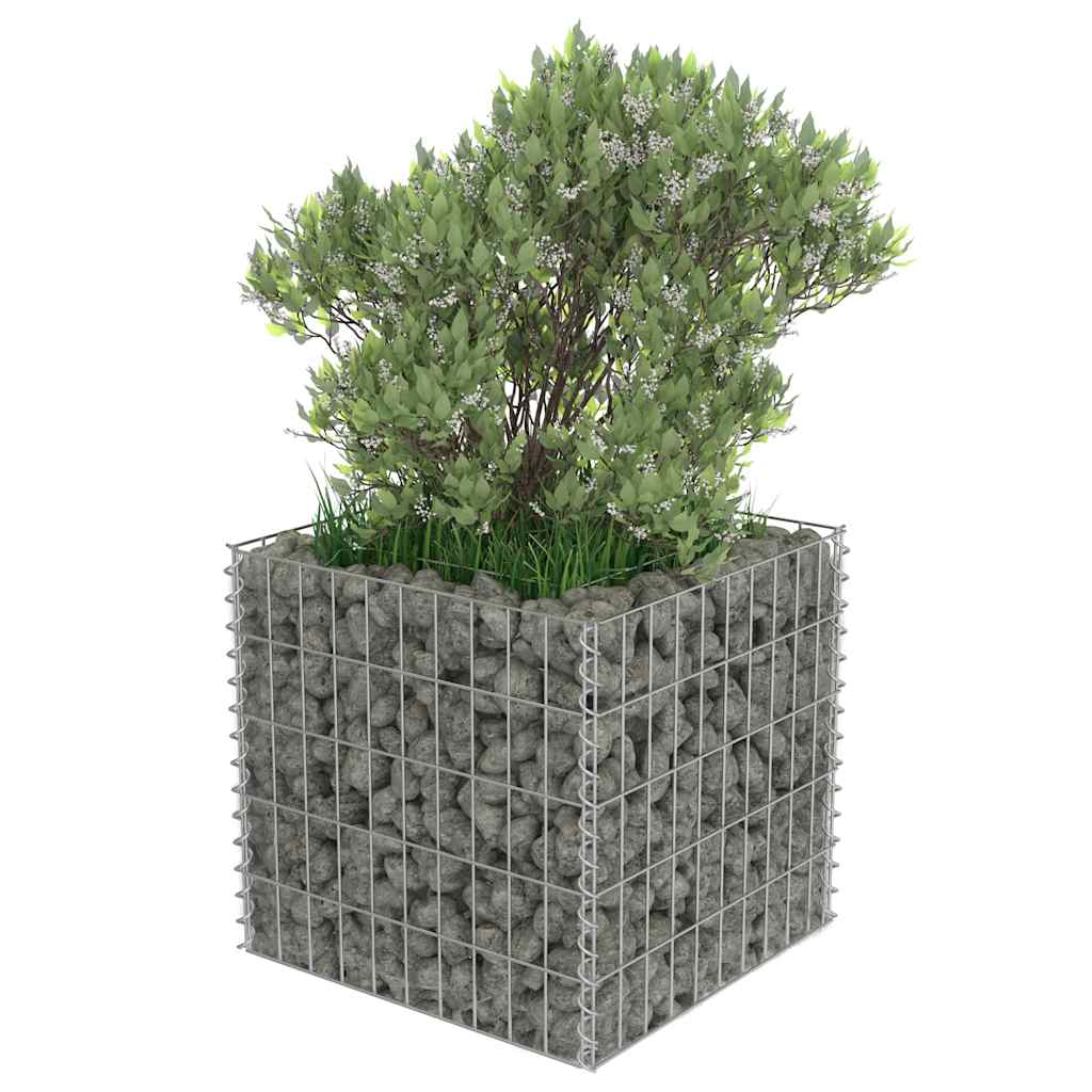 Gabion Raised Bed Galvanized Steel 50 * 50 * 50 Cm